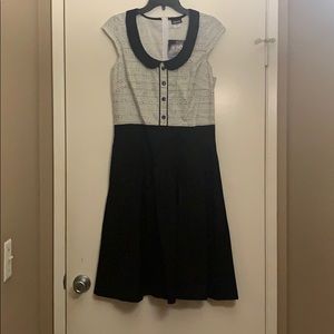 Retrolicious black and white a-line cat dress